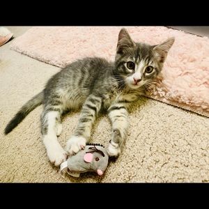 Meet your Posher, Kay